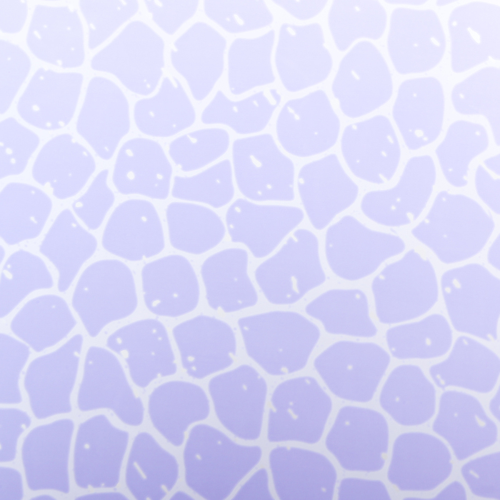 Пленка двухсторонняя с печатью 70 х 100 см