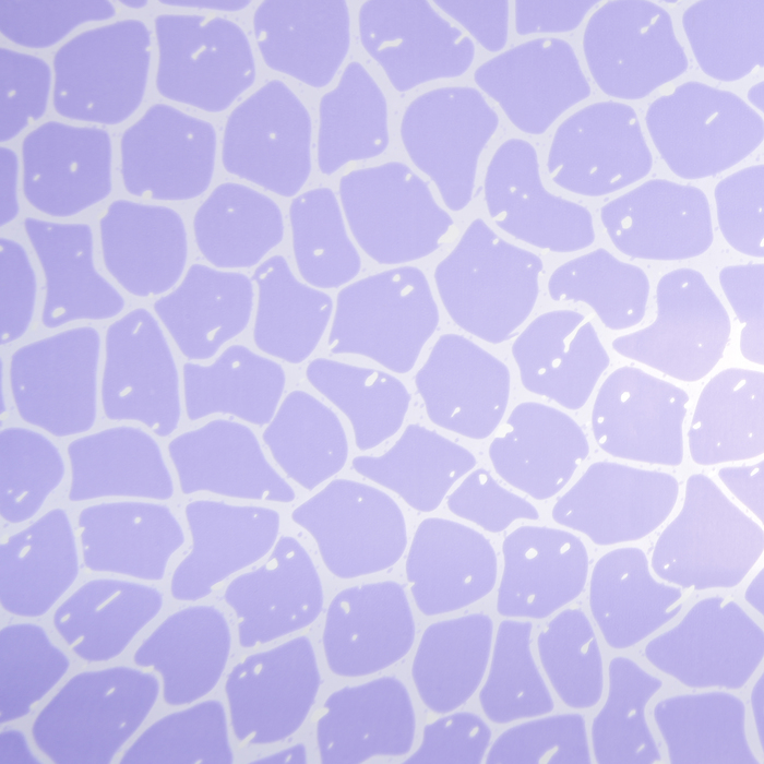 Пленка двухсторонняя с печатью 70 х 100 см