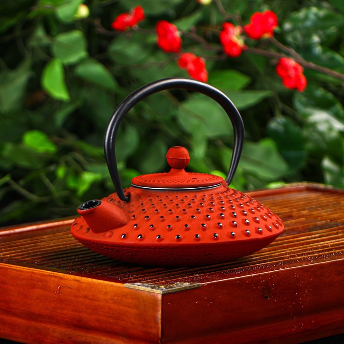Чайник чугунный Доляна «Марокко», 500 мл, с ситом, с эмалированным покрытием внутри, цвет красный