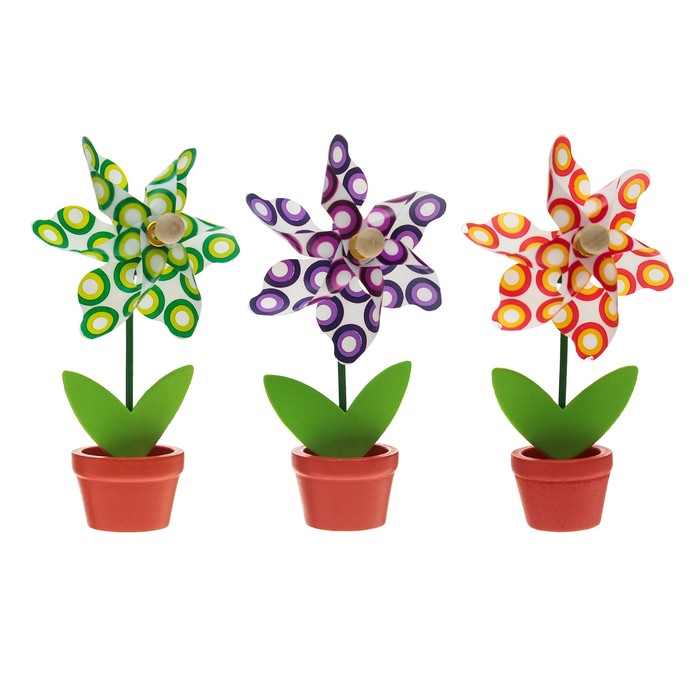 Ветерок "Кругляш" в горшочке, цвета МИКС