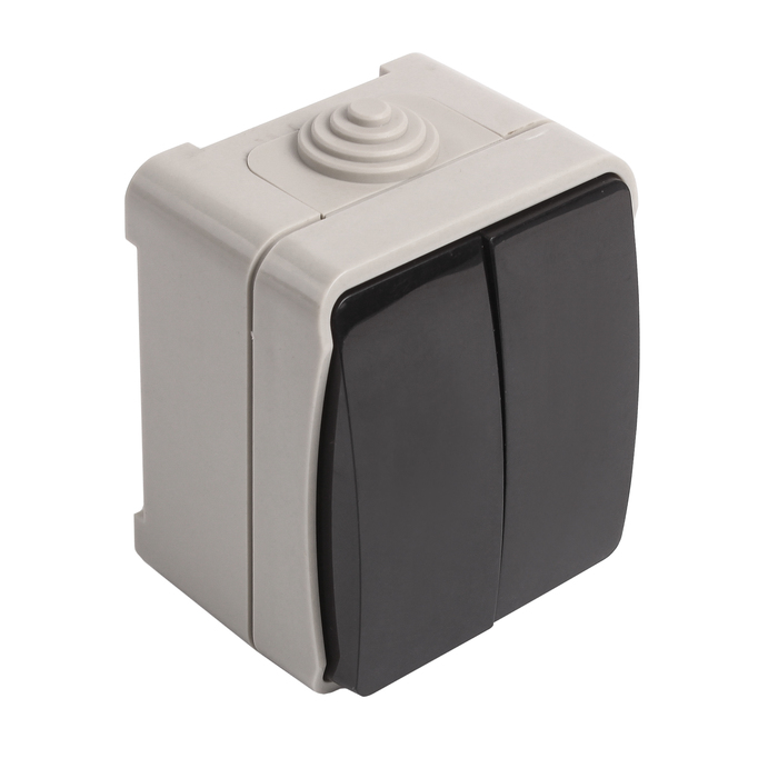 Выключатель Smartbuy "Сатурн", 10 А , 2 клавиши, IP54, чёрный/серый