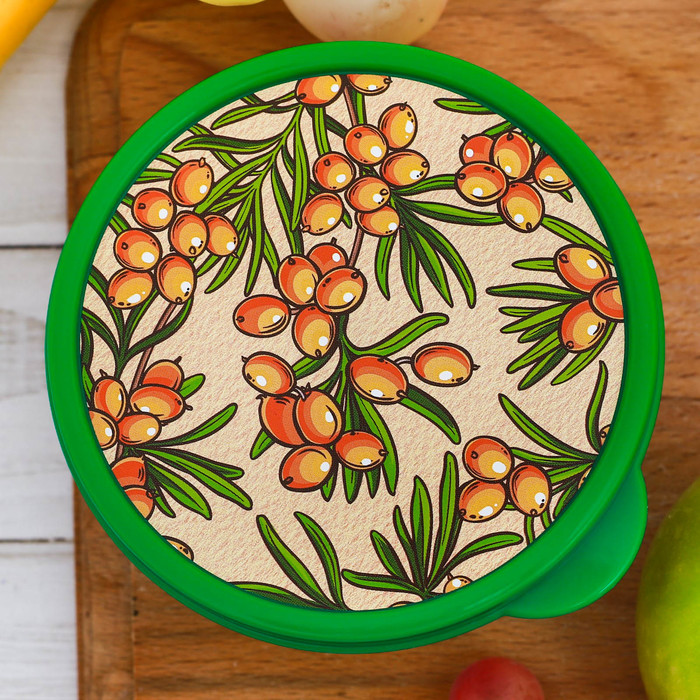 Ланч-бокс "Облепиха", 300 мл