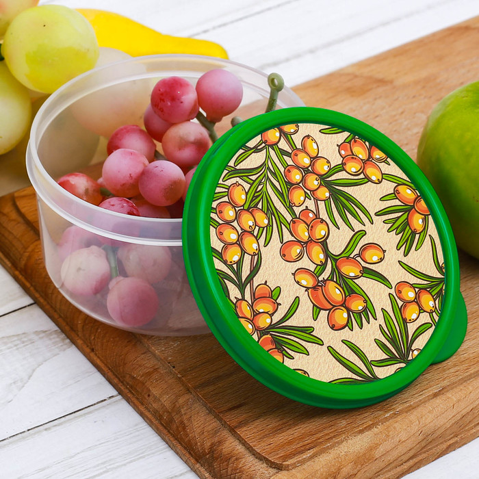 Ланч-бокс "Облепиха", 300 мл