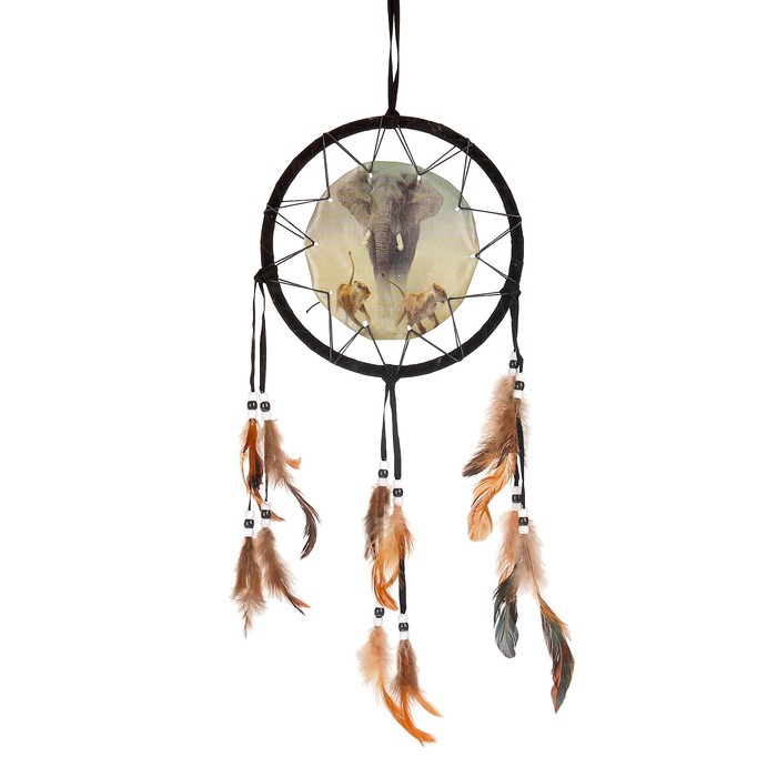 Ловец снов 48 "Саванна" d=20 см