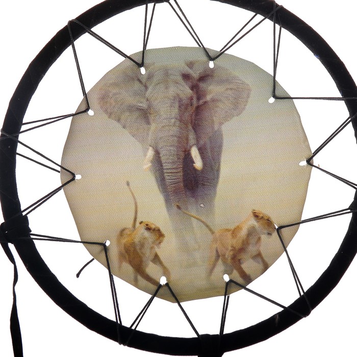 Ловец снов 48 "Саванна" d=20 см