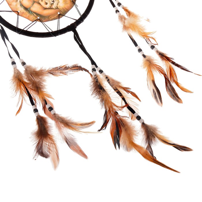 Ловец снов YX36 "Единение с природой" d=20 см