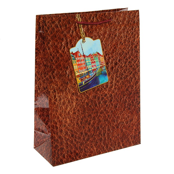 Пакет подарочный "Вояж", 24 х 20,3 х 11,5 см