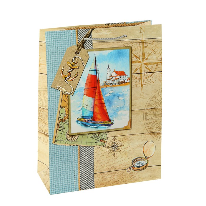 Пакет подарочный "Одиссея", 24 х 20,3 х 11,5 см