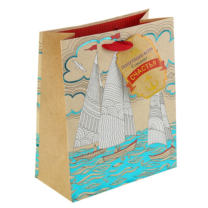 Пакет подарочный "Попутный ветер" премиум, 24 х 20 х 10,2 см
