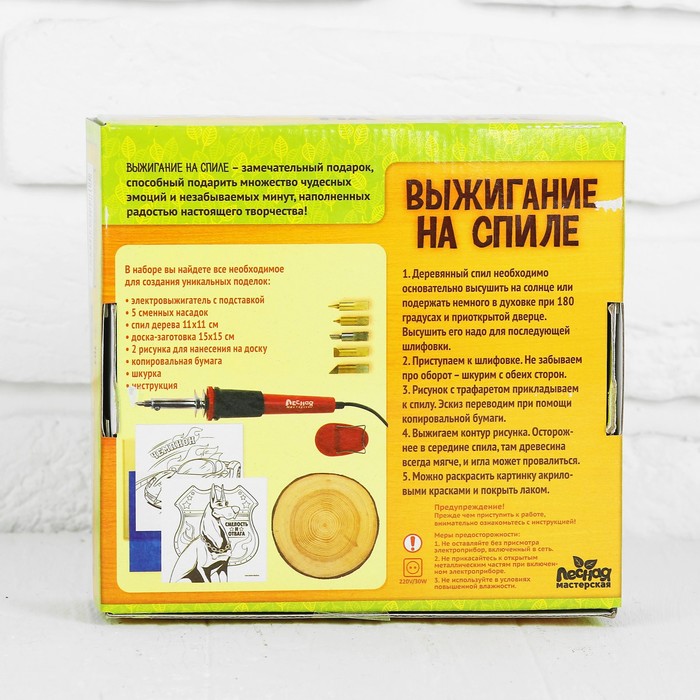 Набор для выжигания и росписи по дереву "Чемпион"