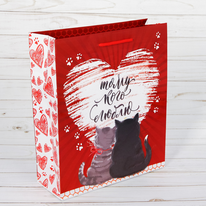 Пакет ламинированный вертикальный «Романтика», ML 23 × 27 × 8 см