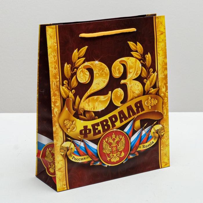 Пакет ламинированный вертикальный «С 23 февраля!», ML 23 × 27 × 8 см