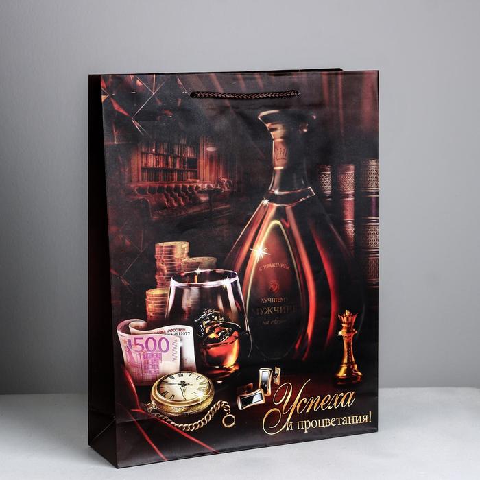 Пакет ламинированный вертикальный «Успеха и процветания», L 40 × 31 × 9 см