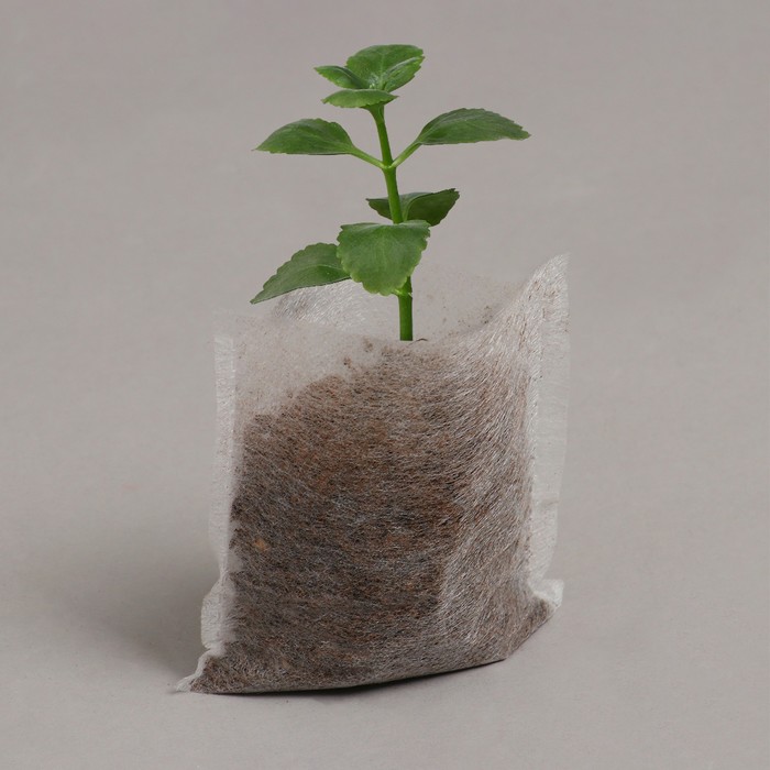 Набор для рассады: стаканы - 3 шт. по 5 л, терракотовый