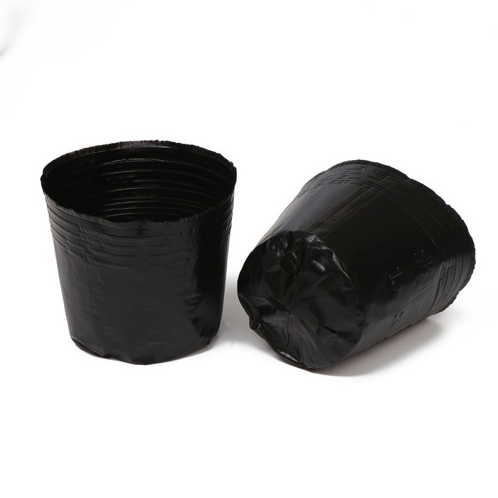 Набор для рассады: стаканы - 3 шт. по 5 л, белый