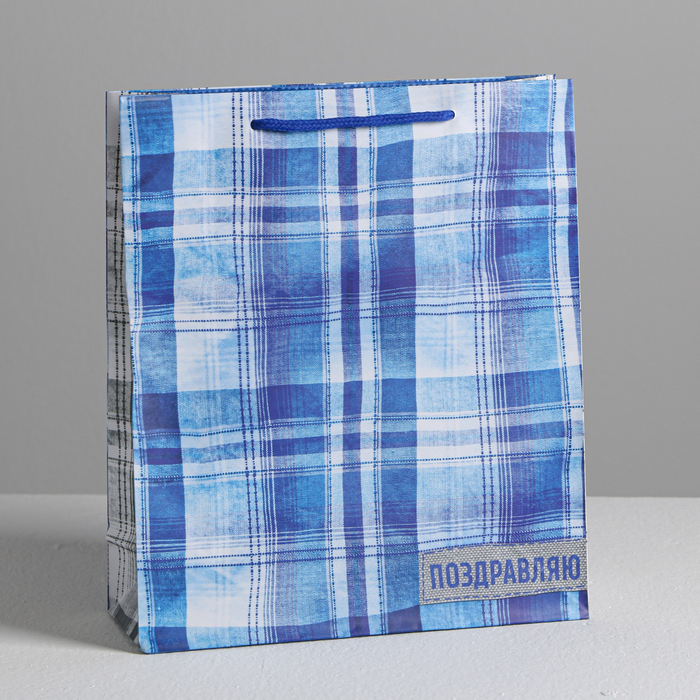 Пакет ламинированный вертикальный «Поздравляю», ML 23 × 27 × 8 см