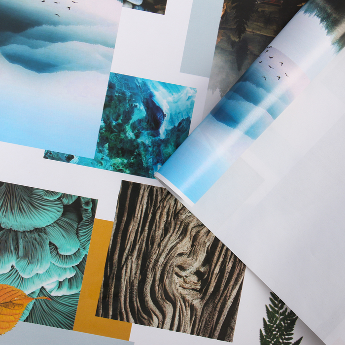 Бумага упаковочная глянцевая "Природа", 100х70 см