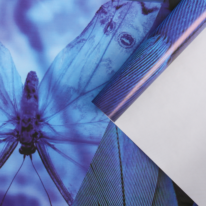 Бумага упаковочная глянцевая "Перья", 100х70 см