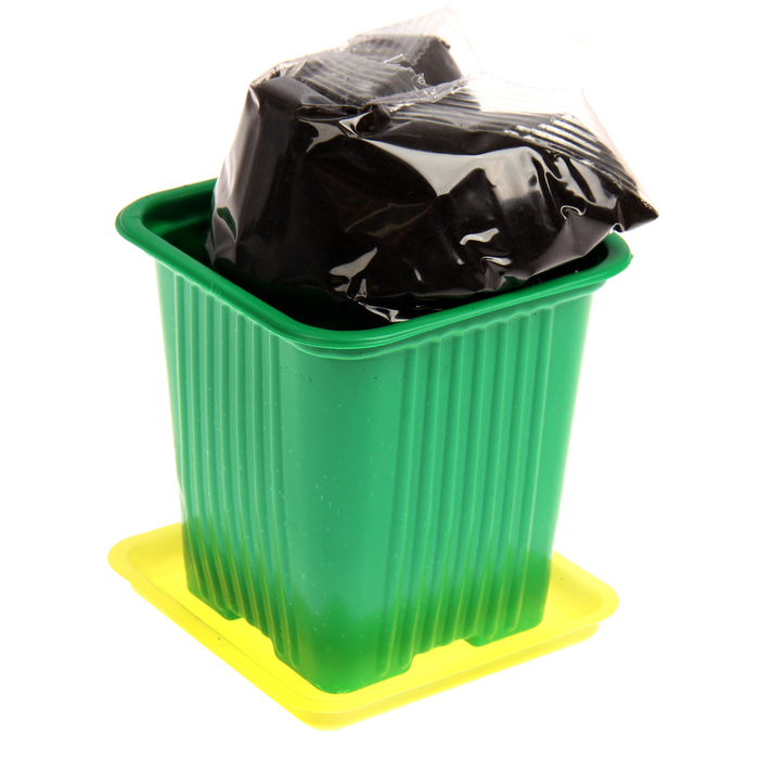 Набор для выращивания растений Юный агроном "Календула"