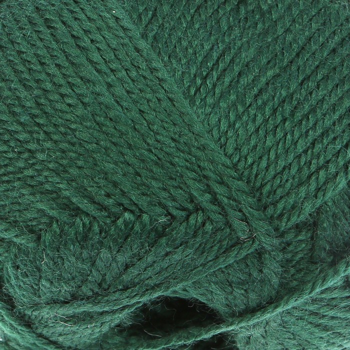 Пряжа "Лотос" 100% акрил 300м/100гр (110 зелёный)