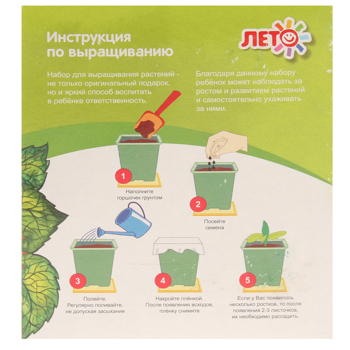 Набор для выращивания растений Юный агроном "Подсолнечник"