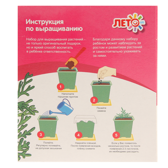 Набор для выращивания растений Юный агроном "Хризантема"