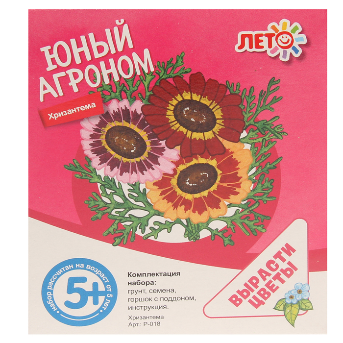 Набор для выращивания растений Юный агроном "Хризантема"