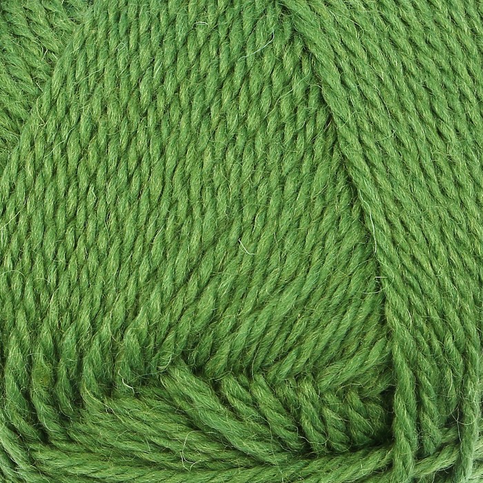 Пряжа "Аргентинская шерсть" 100% импортная п/т шерсть 200м/100гр (114 киви)