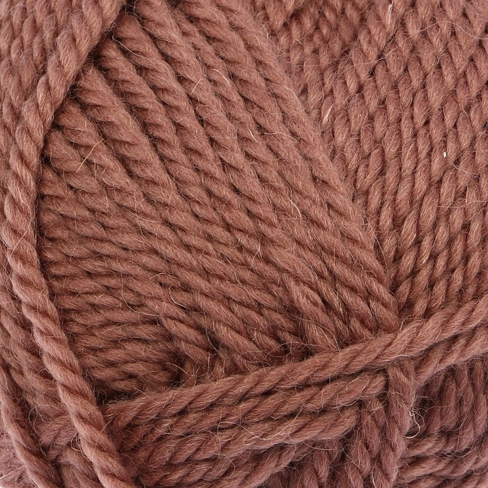 Пряжа "Пышка" 100% импортная п/т шерсть 3-х нит. 110м/100гр (113 какао)