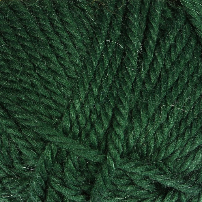 Пряжа "Пышка" 100% импортная п/т шерсть 3-х нит. 110м/100гр (110 зеленый)