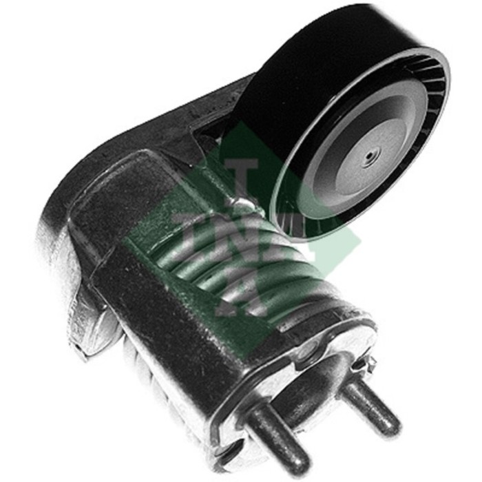 Ролик промежуточный поликлинового ремня INA 534027310