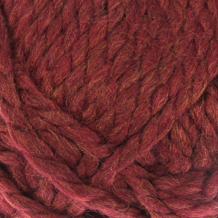 Пряжа "Alpina" 45% шерсть, 55% акрил 103м/150гр (341 коричневый)