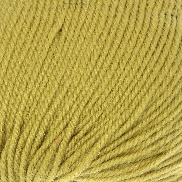 Пряжа "Bianca Lana lux" 100% шерсть 250м/100гр (757 фисташка)