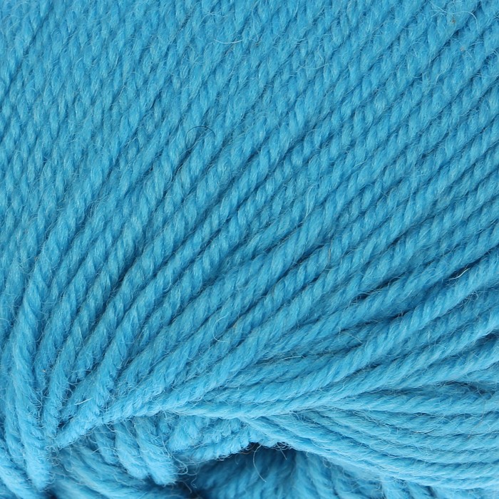 Пряжа "Bianca Lana lux" 100% шерсть 250м/100гр (866 бирюза)