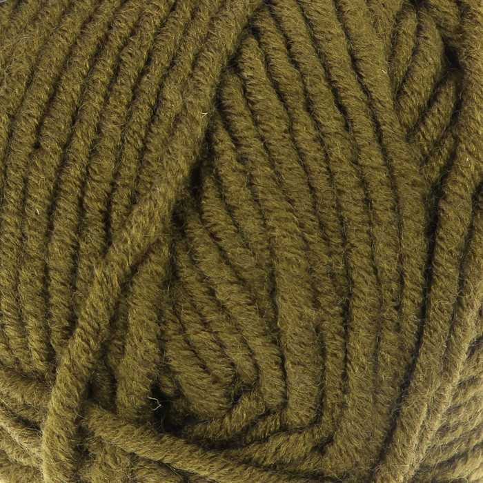 Пряжа "Merino bulky" 30% шерсть 70% акрил 100м/100гр (530 трава)