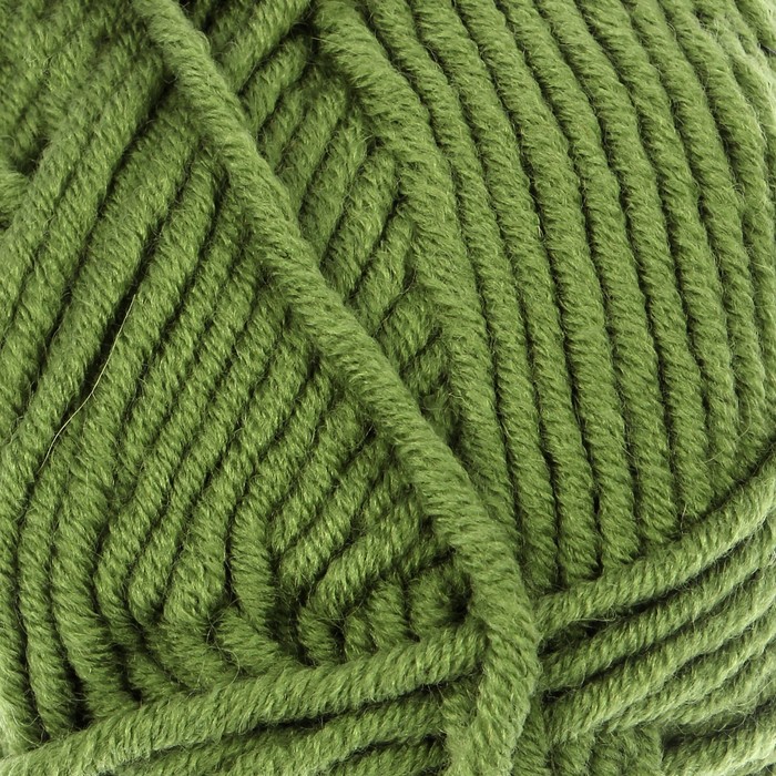 Пряжа "Merino bulky" 30% шерсть 70% акрил 100м/100гр (098 зелёный)