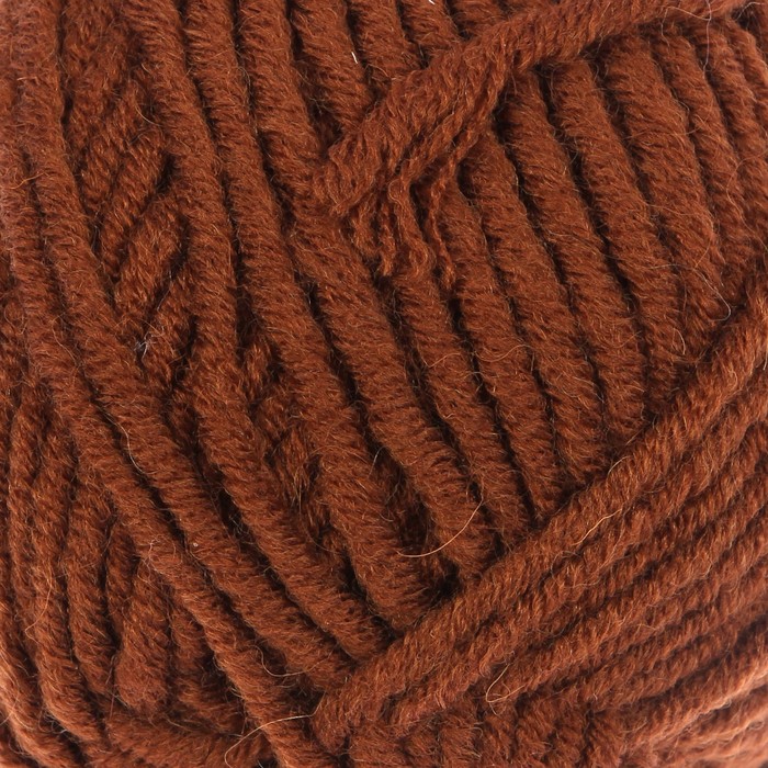 Пряжа "Merino bulky" 30% шерсть 70% акрил 100м/100гр (3067 коричневый)