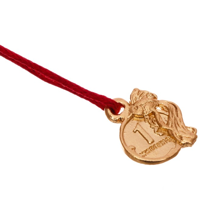 Кошельковая фигурка "Рыбка исполнения желаний"