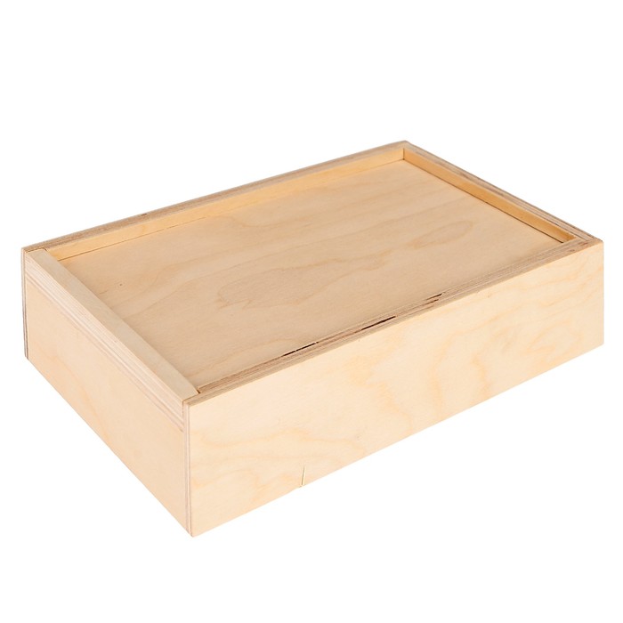 Фотопенал из фанеры "Горизонт" 23х13х5 см, фото 10х15