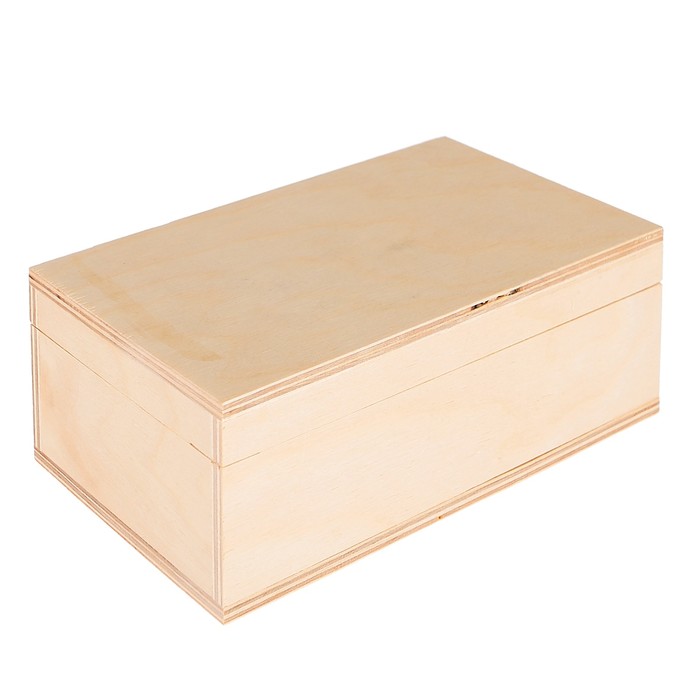 Шкатулка из фанеры "Коллекция" 8 ячеек, 19х11,5х6,5 см