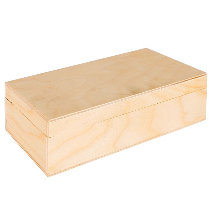 Шкатулка из фанеры "Коллекция" 10 ячеек, 23,5х11,5х6,5 см