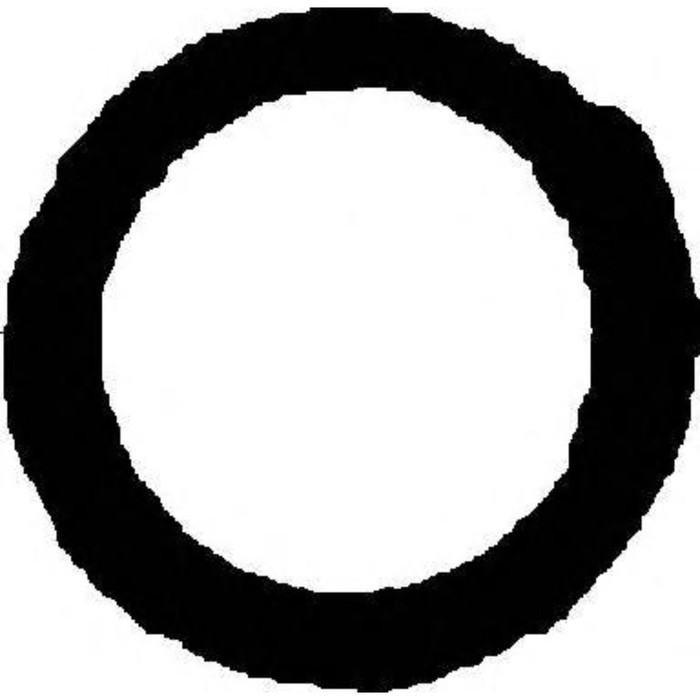 Уплотняющее кольцо  REINZ 71-52924-00