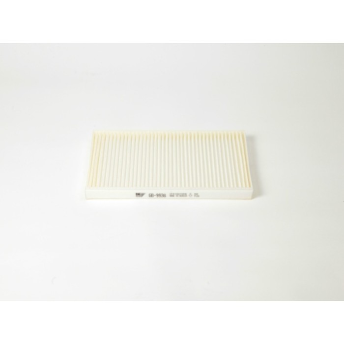Фильтр салонный BIG FILTER GB-9938