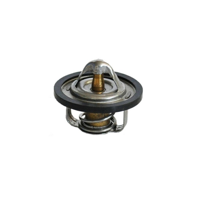 Термостат ASAM 30654