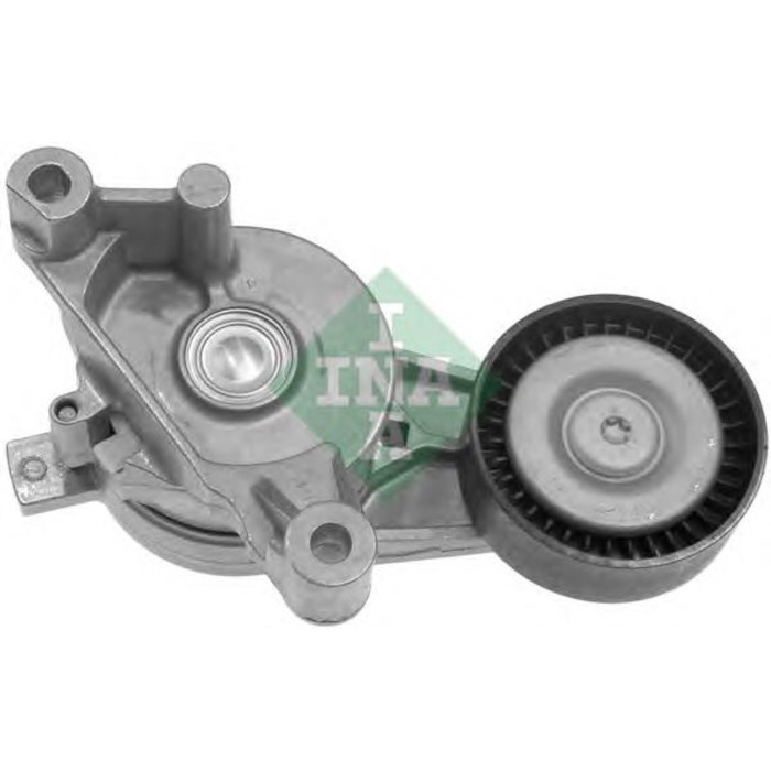 Натяжитель ремня приводного INA 534005910