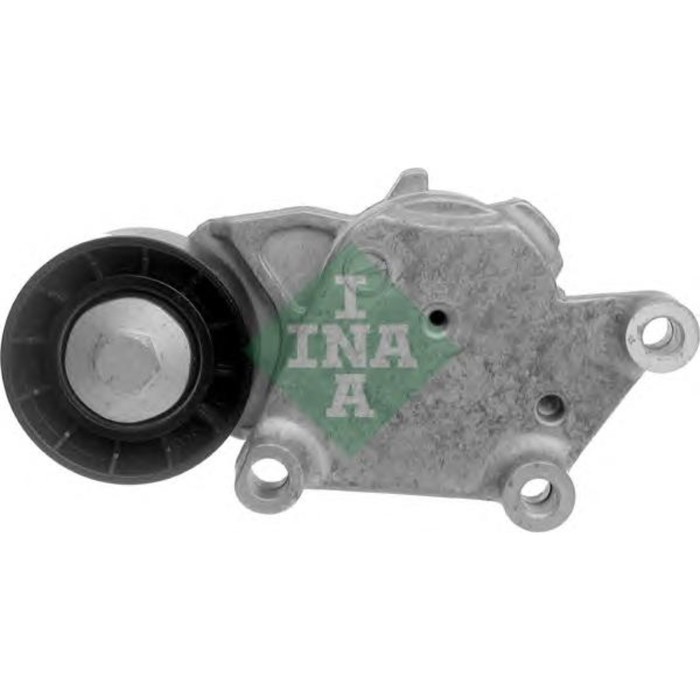 Натяжитель ремня приводного INA 534007520