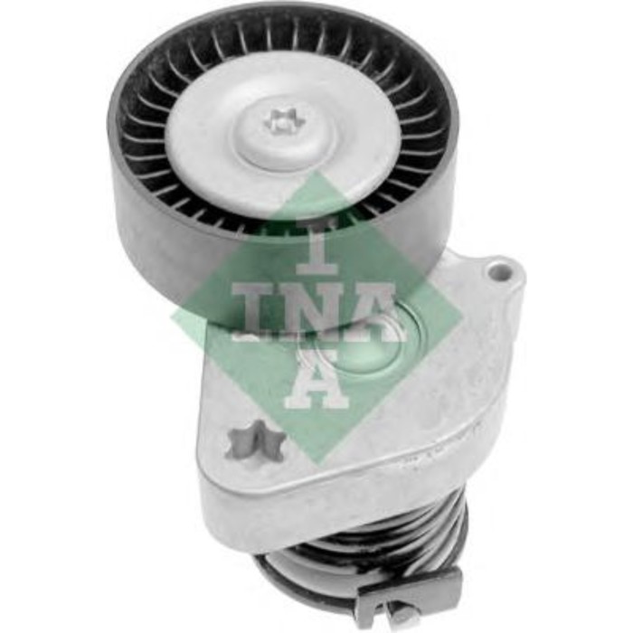 Натяжитель ремня приводного INA 534008130