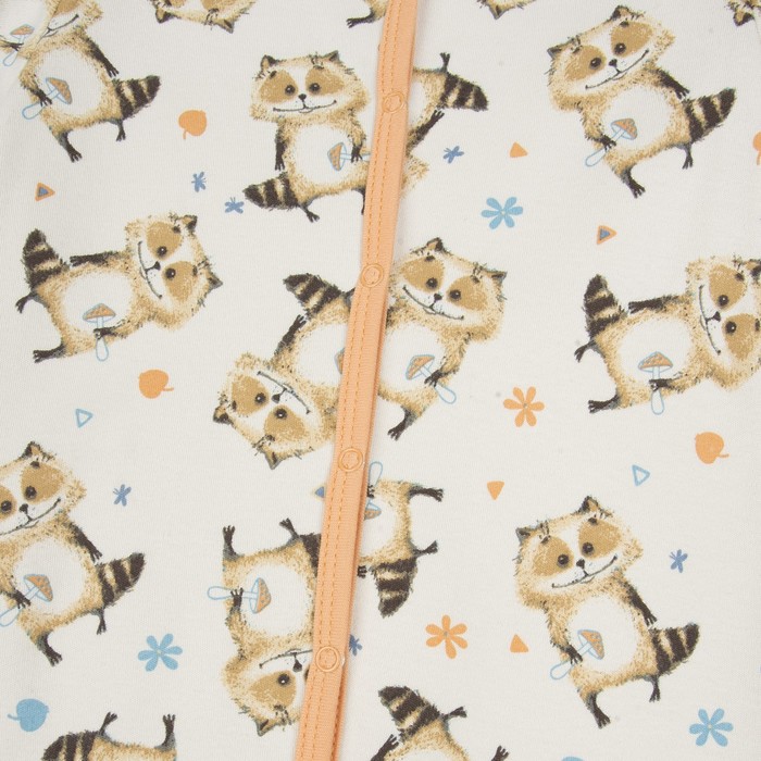 Комбинезон для мальчика, рост 74 см, принт еноты 172-006-39