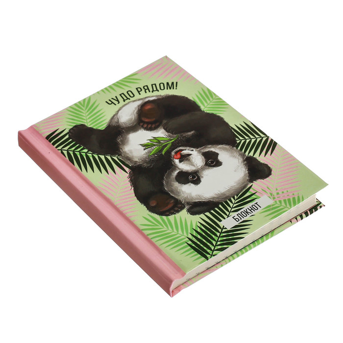 Блокнот "Чудо рядом!", твёрдая обложка, А7, 64 листа