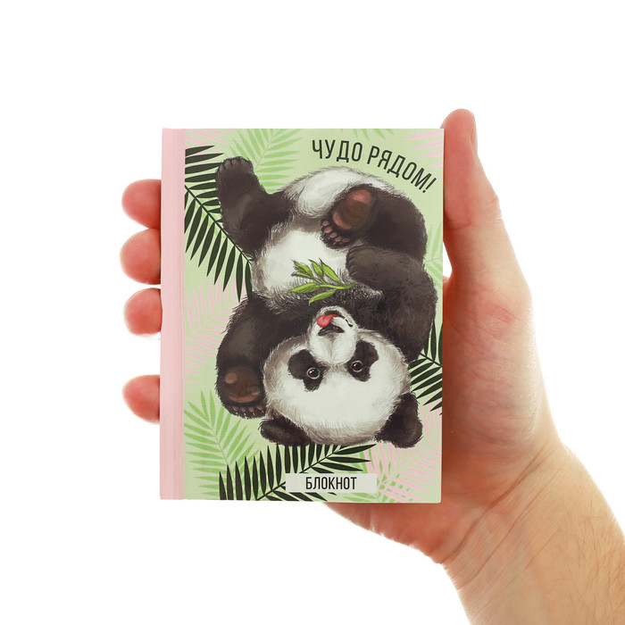 Блокнот "Чудо рядом!", твёрдая обложка, А7, 64 листа